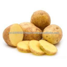 vietnam fresh potato high quality 2017 new crop